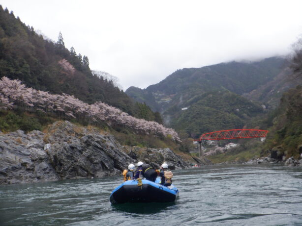 吉野川ラフティング,徳島ラフティング,四国観光,水遊び,思い出,ラフティング