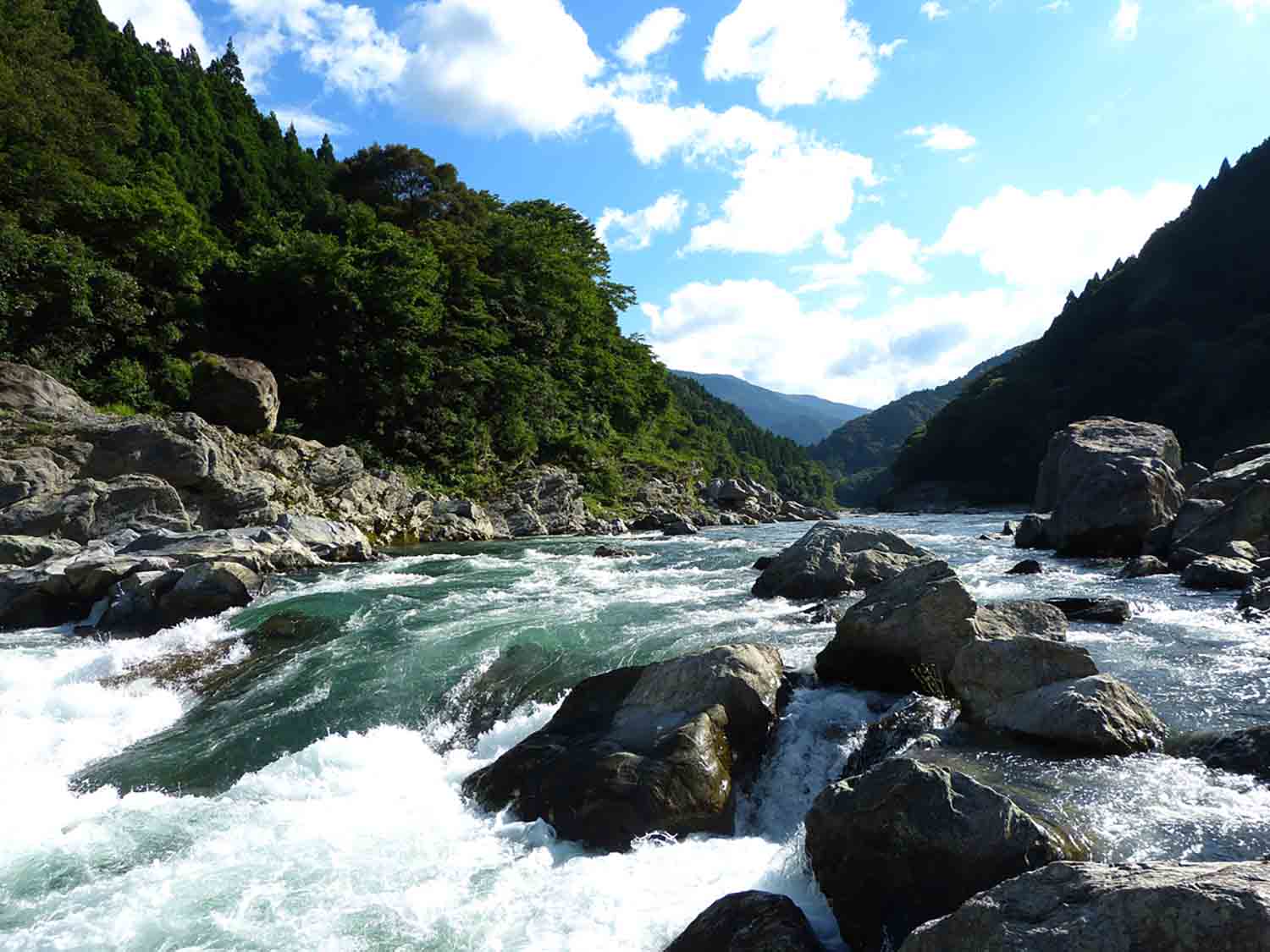 水量が多くラフティング日和な吉野川の写真